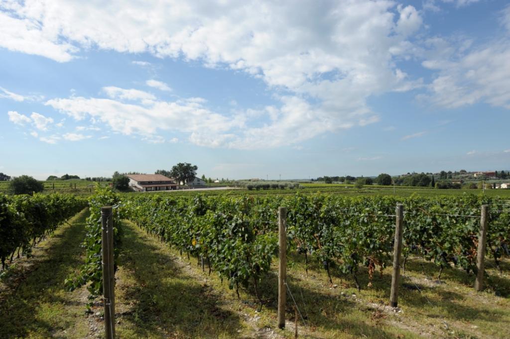 Tenuta La Ca Bardolino Ngoại thất bức ảnh