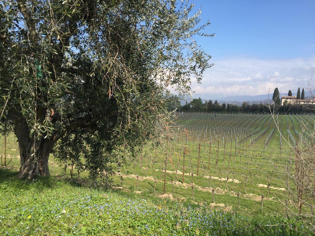 Tenuta La Ca Bardolino Ngoại thất bức ảnh